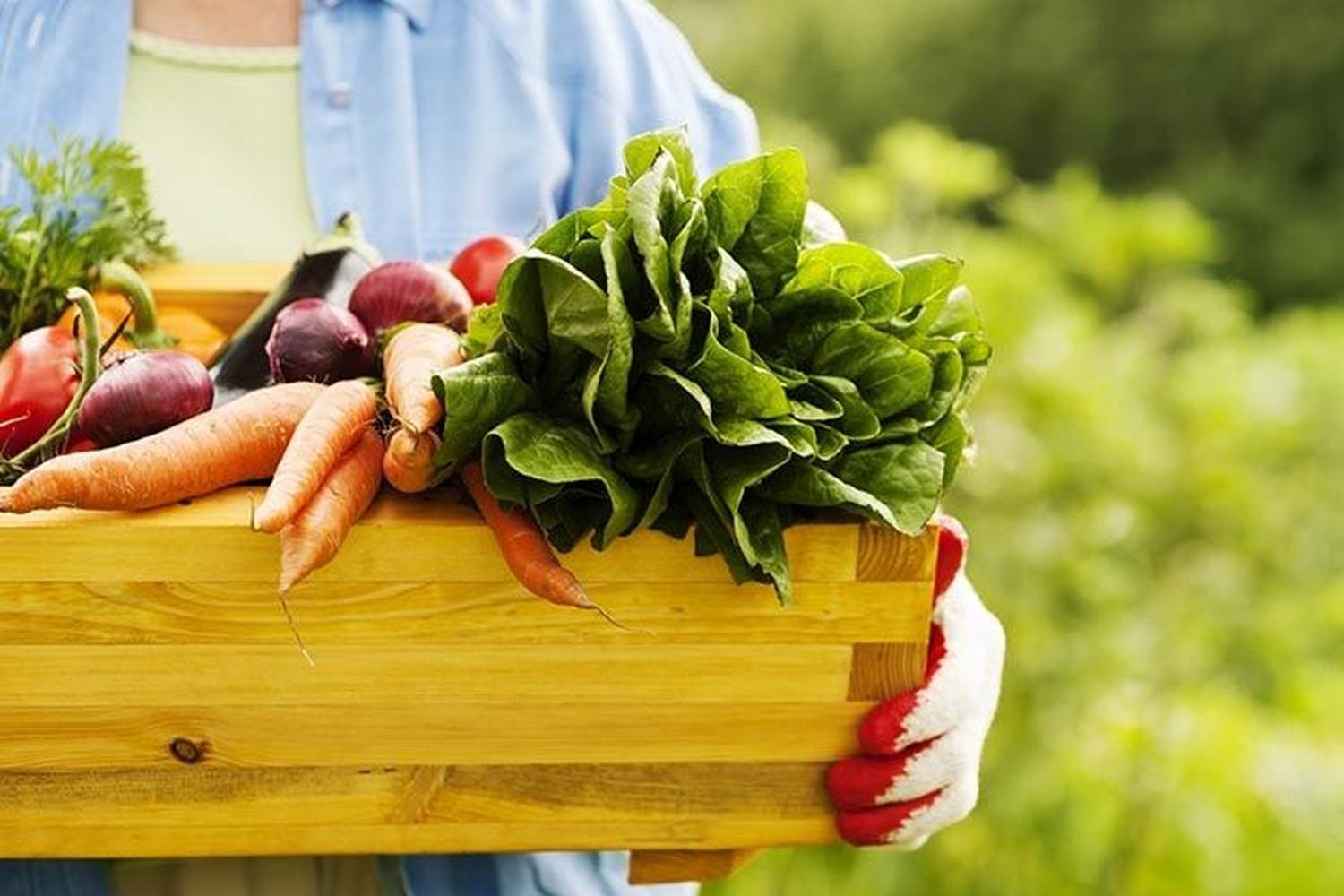 Bromatología brindará una charla sobre alimentación
