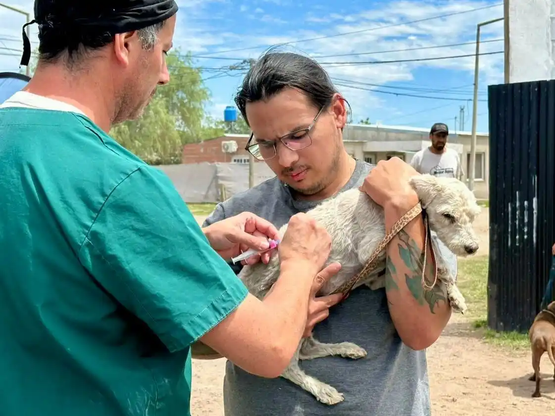 El Imusca busca profesionales con vocación social y compromiso con el bienestar animal. Foto: MVT