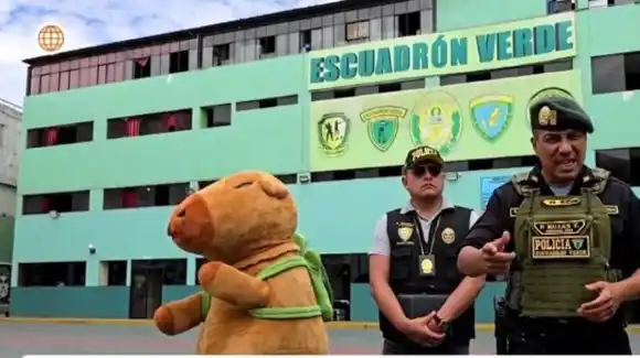 POR CONFIADO, cayó traficante en manos del «Capibara del Amor» en el Día de San Valentín (VIDEO)