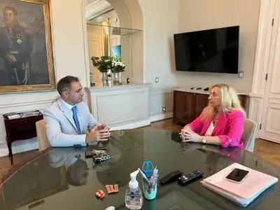 La vertiginosa carrera de Davico para convertirse al Mileismo