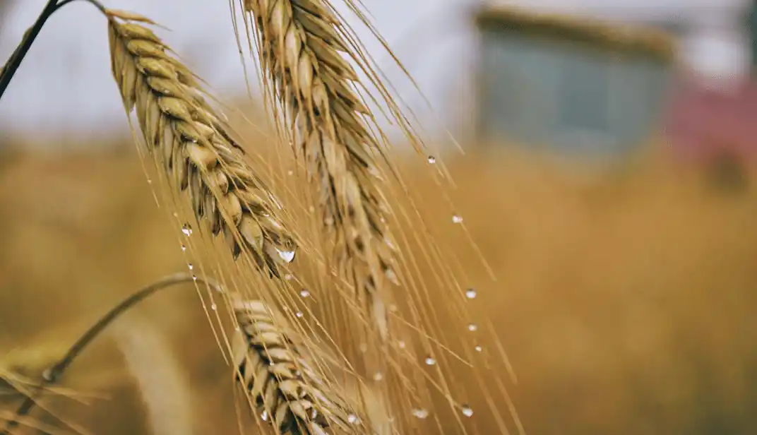 Abundante cantidad de agua caída en Gualeguay y el departamento
