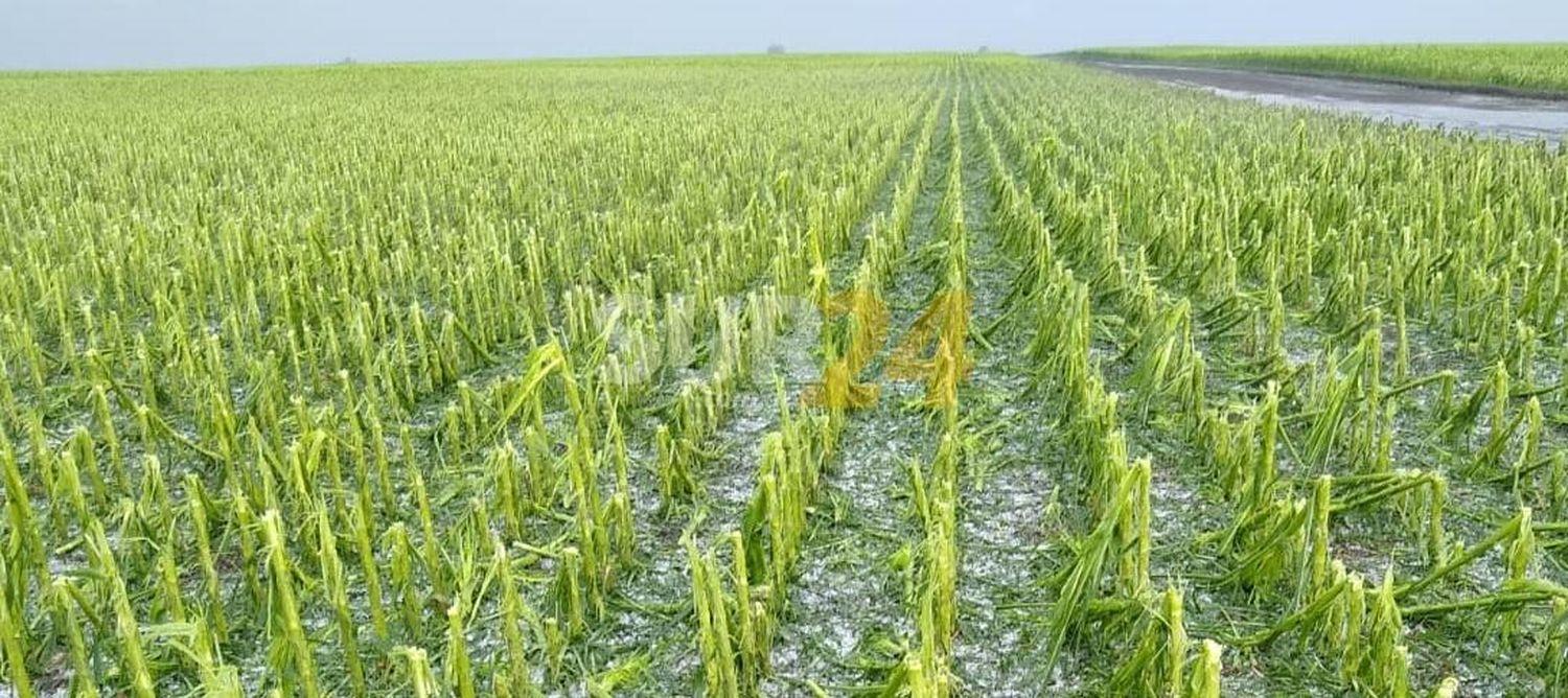 Fuerte temporal de viento, granizo y lluvia causa daños en Villa Cañás