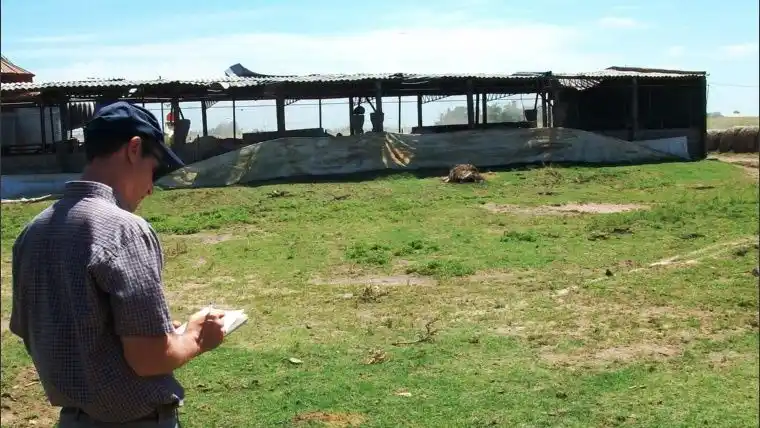 Con residuos generados por criaderos porcinos se abastecerá de biogás a una localidad santafesina