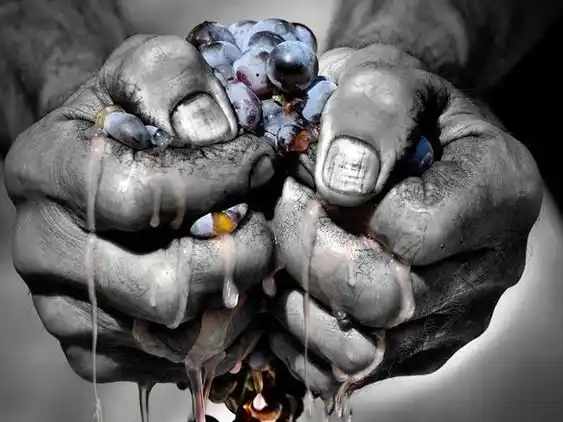 Más allá del Malbec: más Malbec.