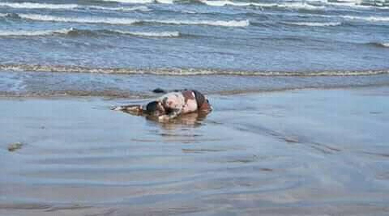 Investigan hallazgos de cadáveres en playas de Falcón