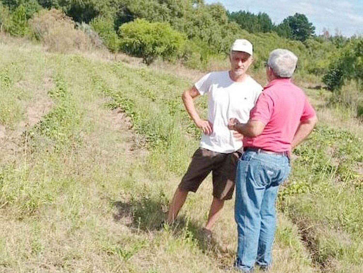 La municipalidad continúa acompañando a los productores locales