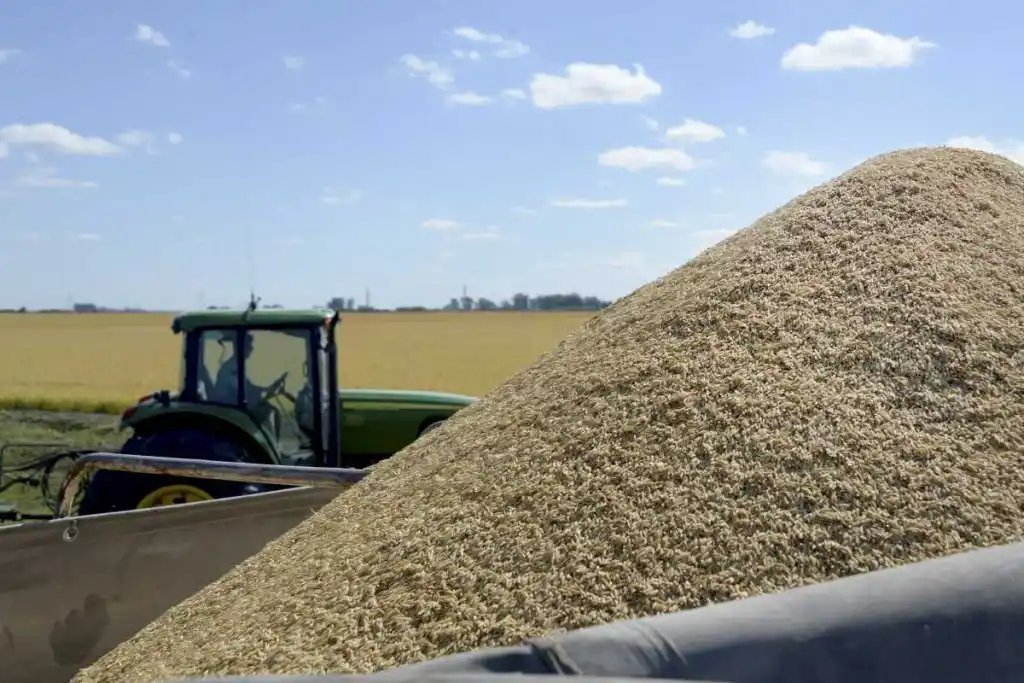 El Banco Central creó un régimen para impulsar la venta de soja