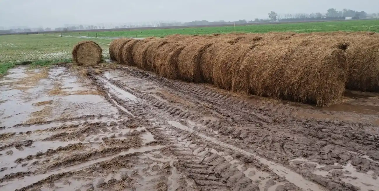 "Lo importante ahora es acompañar y seguir reclamando obras, para que cuando lleguen lluvias de este tipo, los daños no sean tan graves”, comentó la productora. Foto: Gentileza
