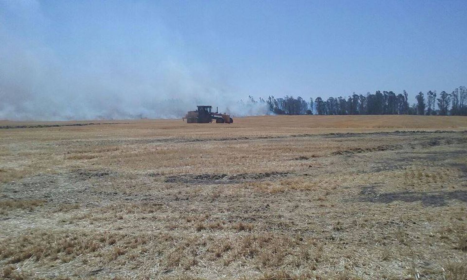 Afectada por la sequía, Lobería pedirá ser declarada en emergencia agropecuaria