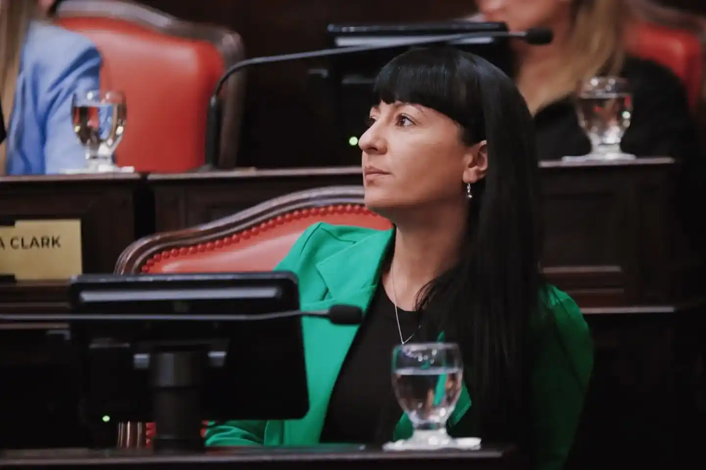 senadora Bastida