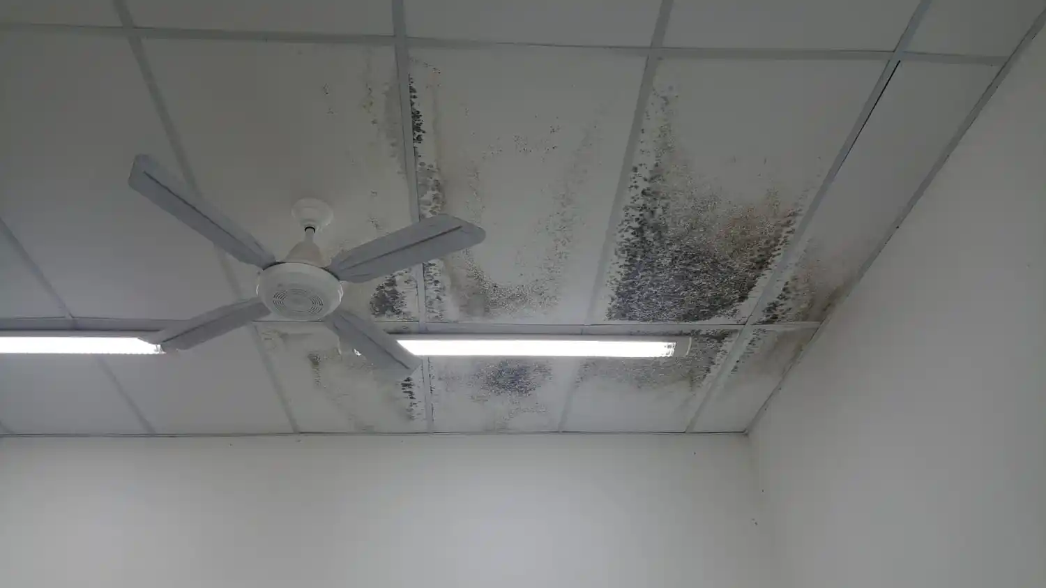 Así lucen las aulas inauguradas hace unos meses