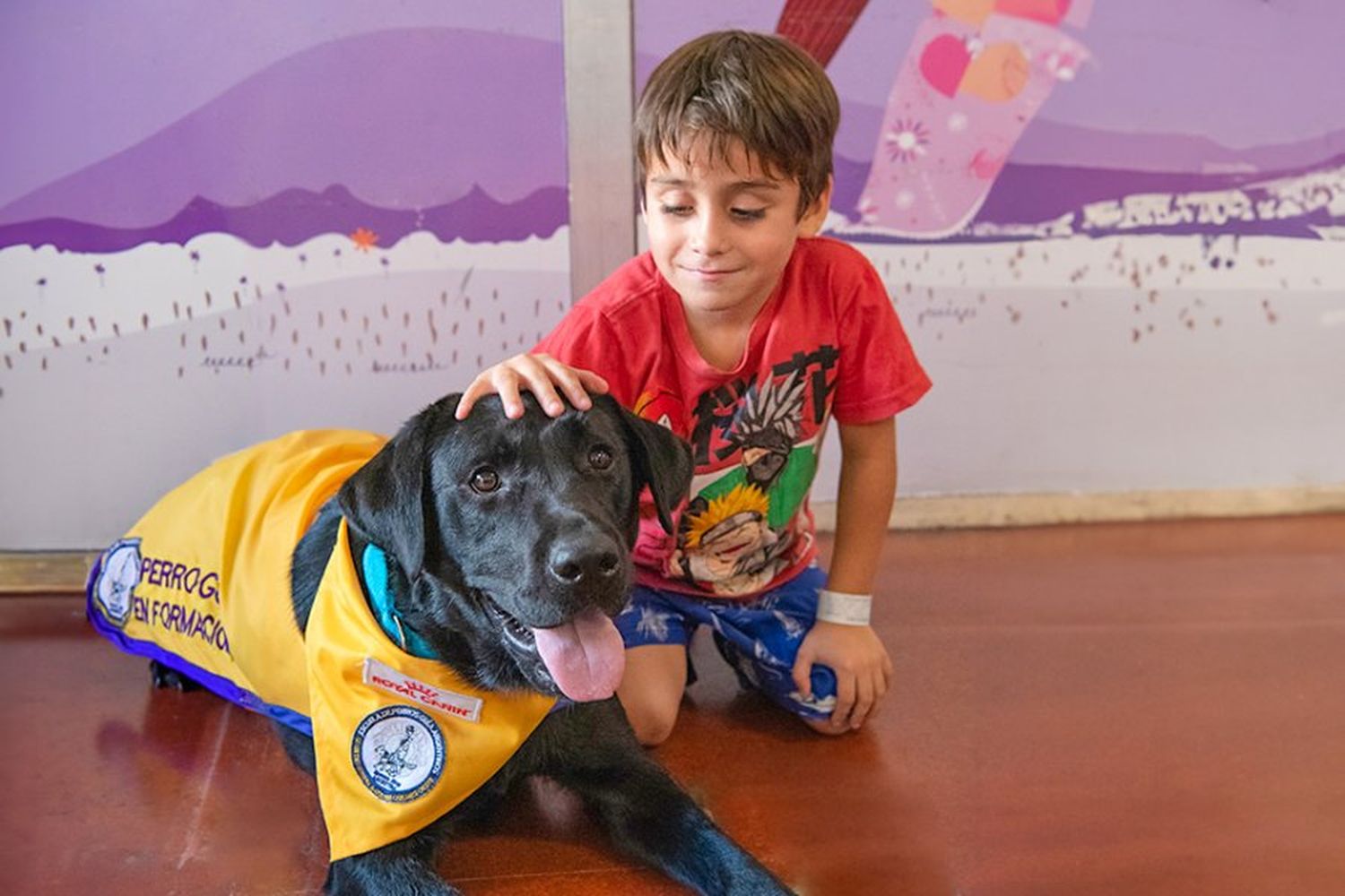 El Hospital Garrahan implementó la terapia asistida por perros