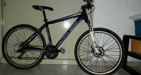 Bicicleta robada: ofrecen recompensa