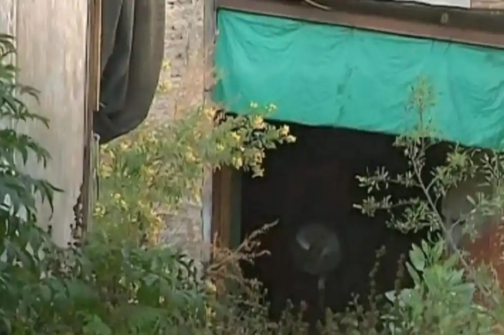 La vivienda está ubicada en el barrio Crisol de Córdoba.