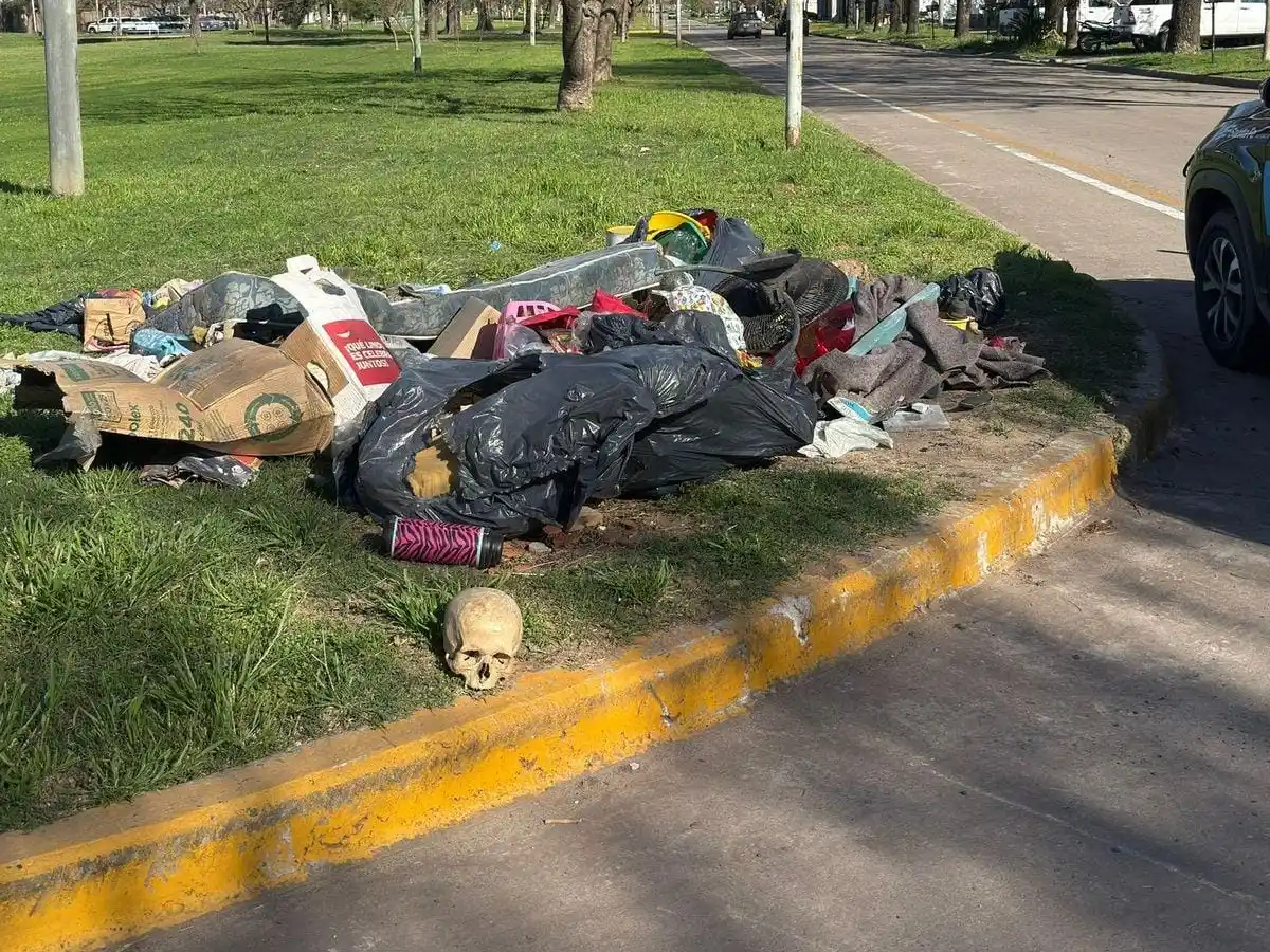 Macabro: encontraron restos humanos entre la basura en plena vía pública
