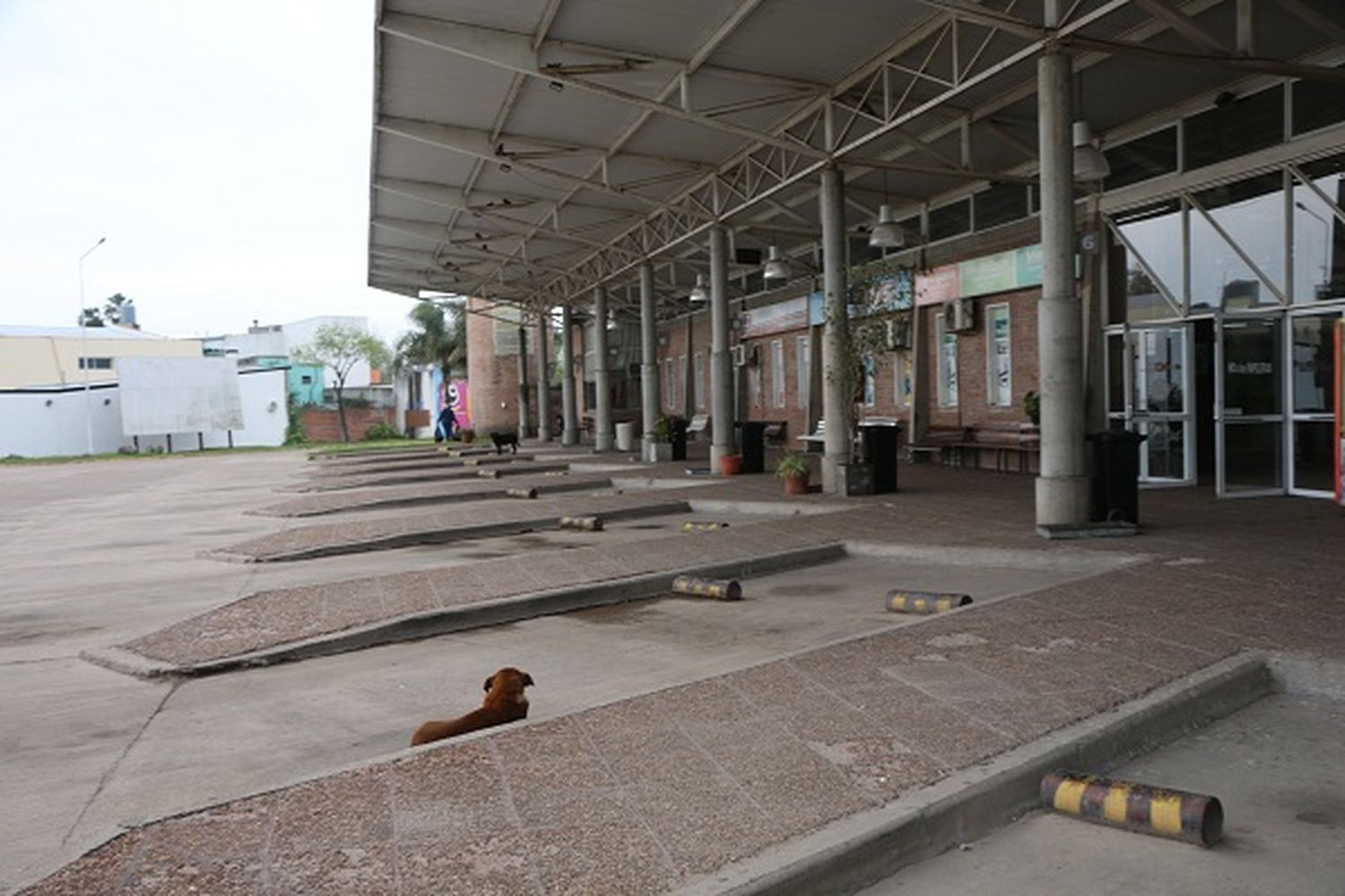 Comenzó un paro de colectivos de larga distancia: no circularán hasta el lunes