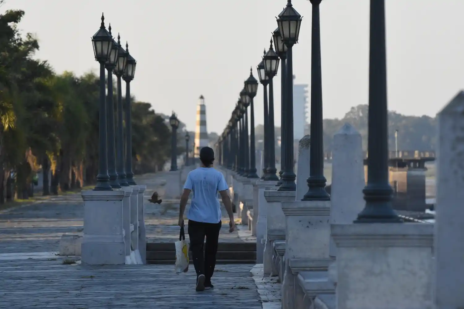 Covid en Santa Fe: la provincia sumó 31 muertes y 1.186 casos, 269 de la ciudad