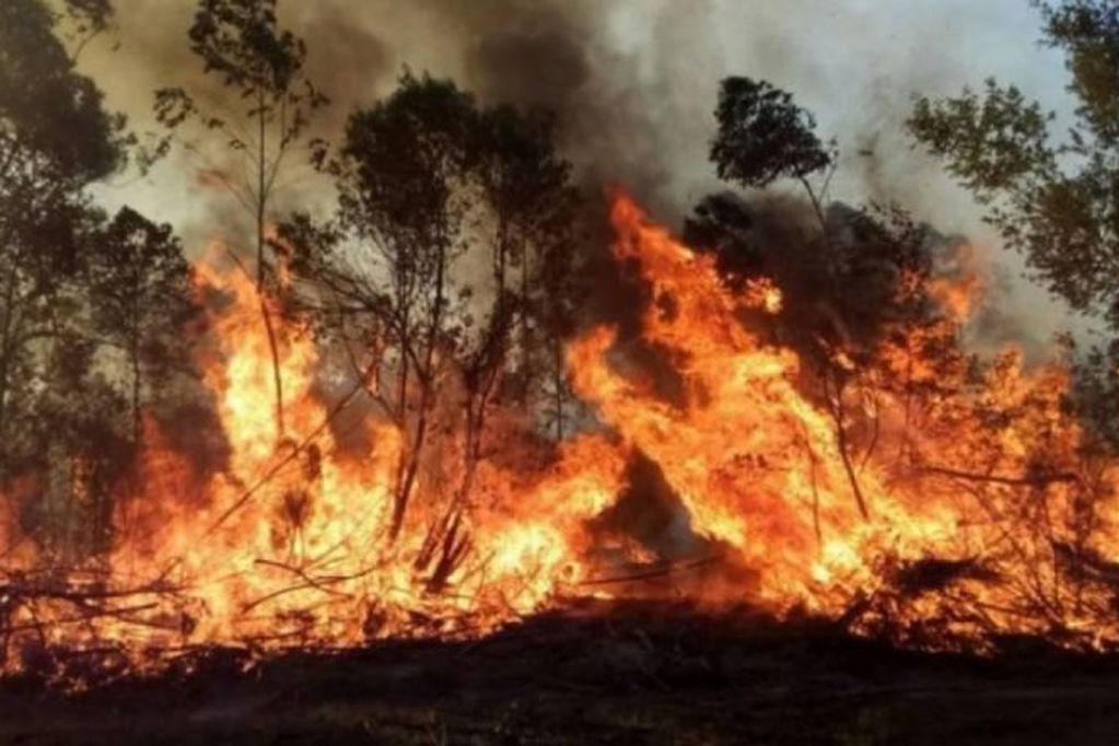 Kicillof envió tres helicópteros hidrantes para luchar contra el fuego en Corrientes