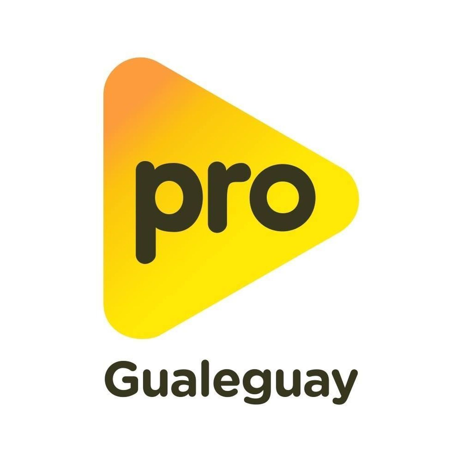 Restricciones: el PRO Gualeguay se expresó al respecto