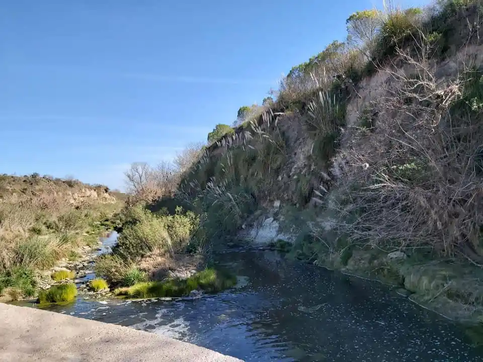 Un paseo con tinte solidario
