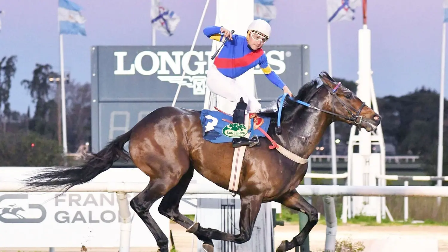 Vundu tratará de recuperar su mejor perfil en el Clásico Forli (G2), en San Isidro.