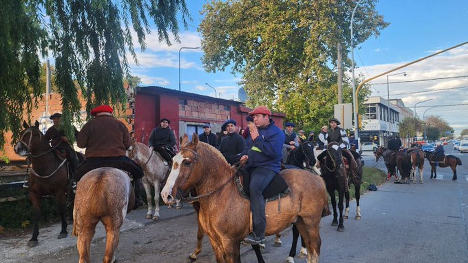 Denunciaron que más de 100 caballos fueron matados para comer.