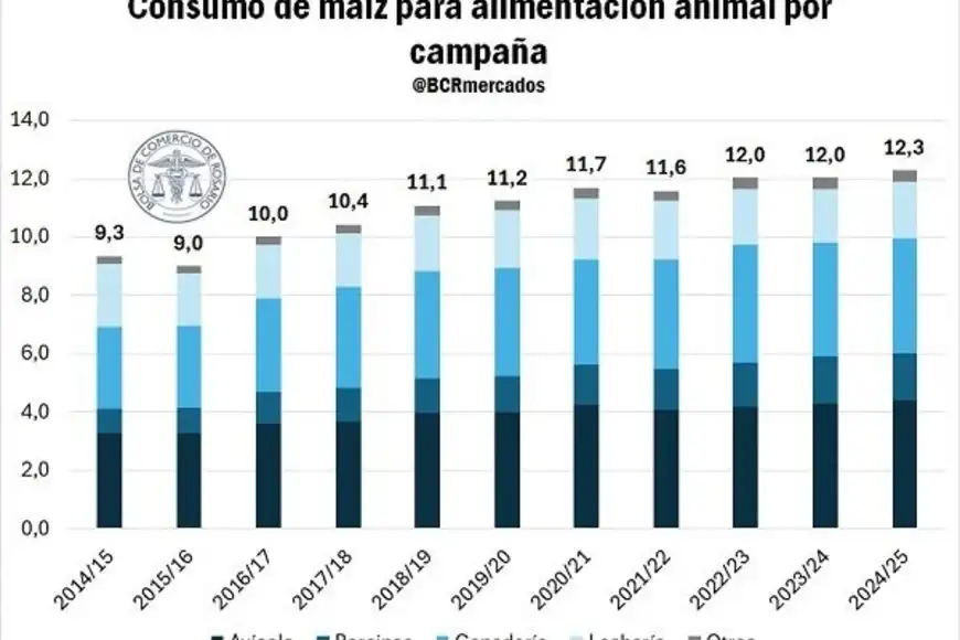 Maíz