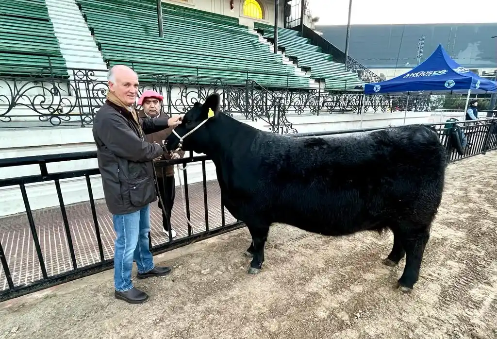 Bustillo es un apasionado de la ganadería y de Angus
