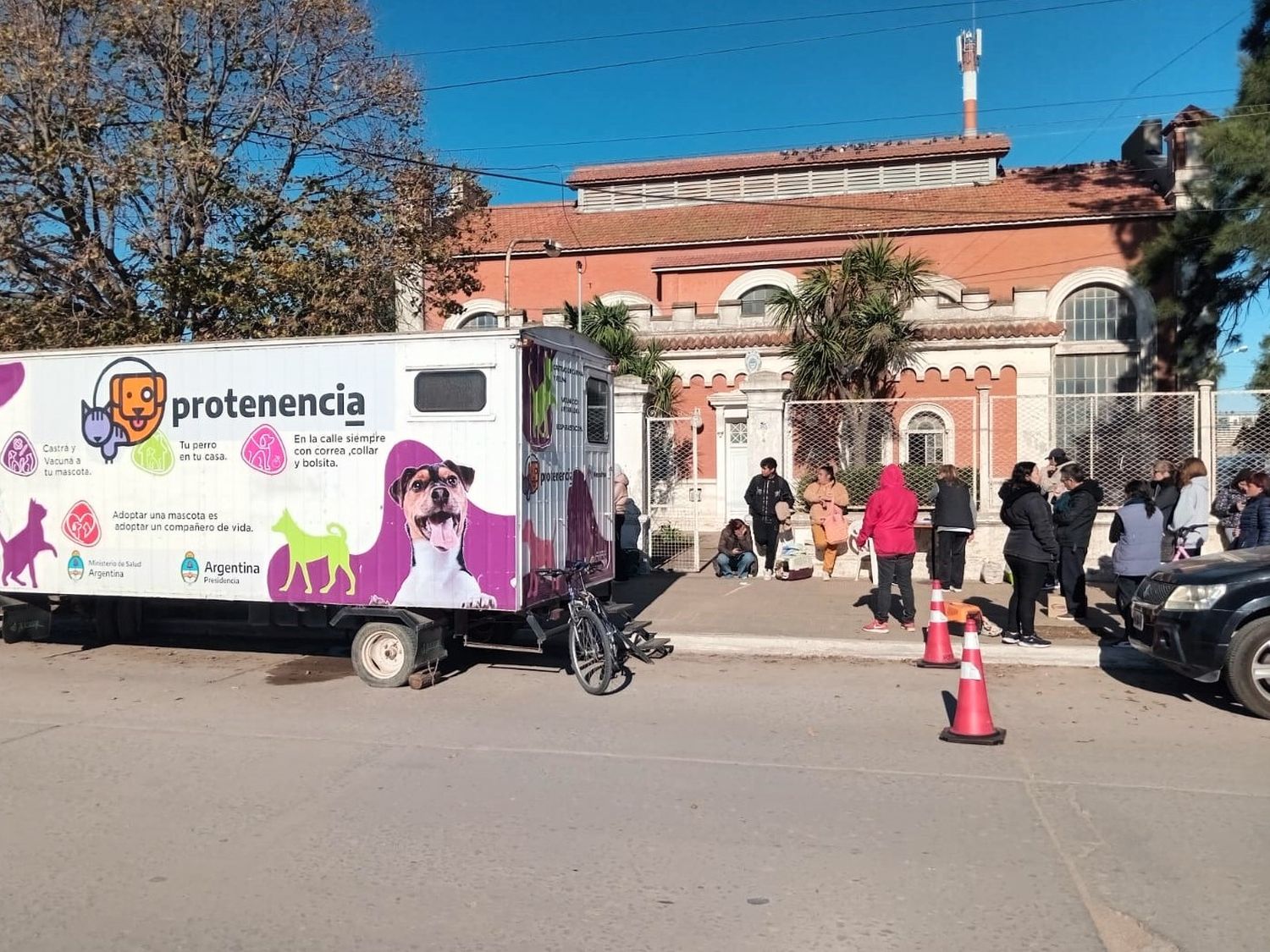 Jornada de castración masiva para este sábado