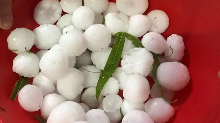 La caída de granizo dejó secuelas e imágenes increíbles por el tamaño de las piedras.