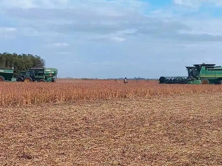 Santa Fe exportó el primer bimestre U$S 321 millones más que en 2024.