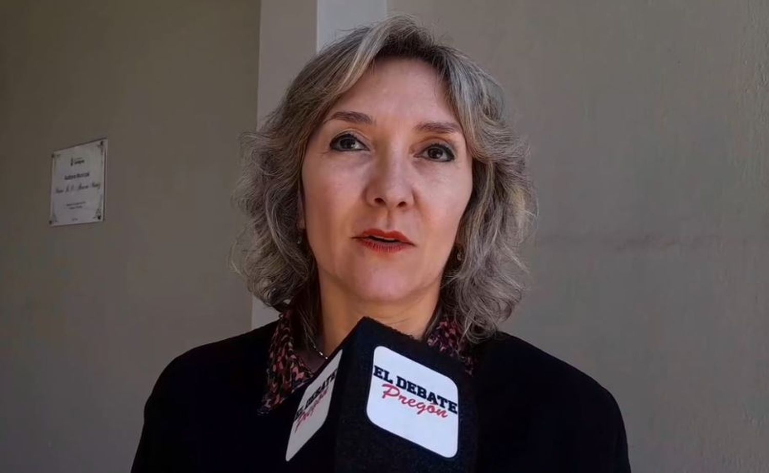 Se desarrolló el Pre-congreso Entrerriano de Enfermería en el Auditorio Municipal