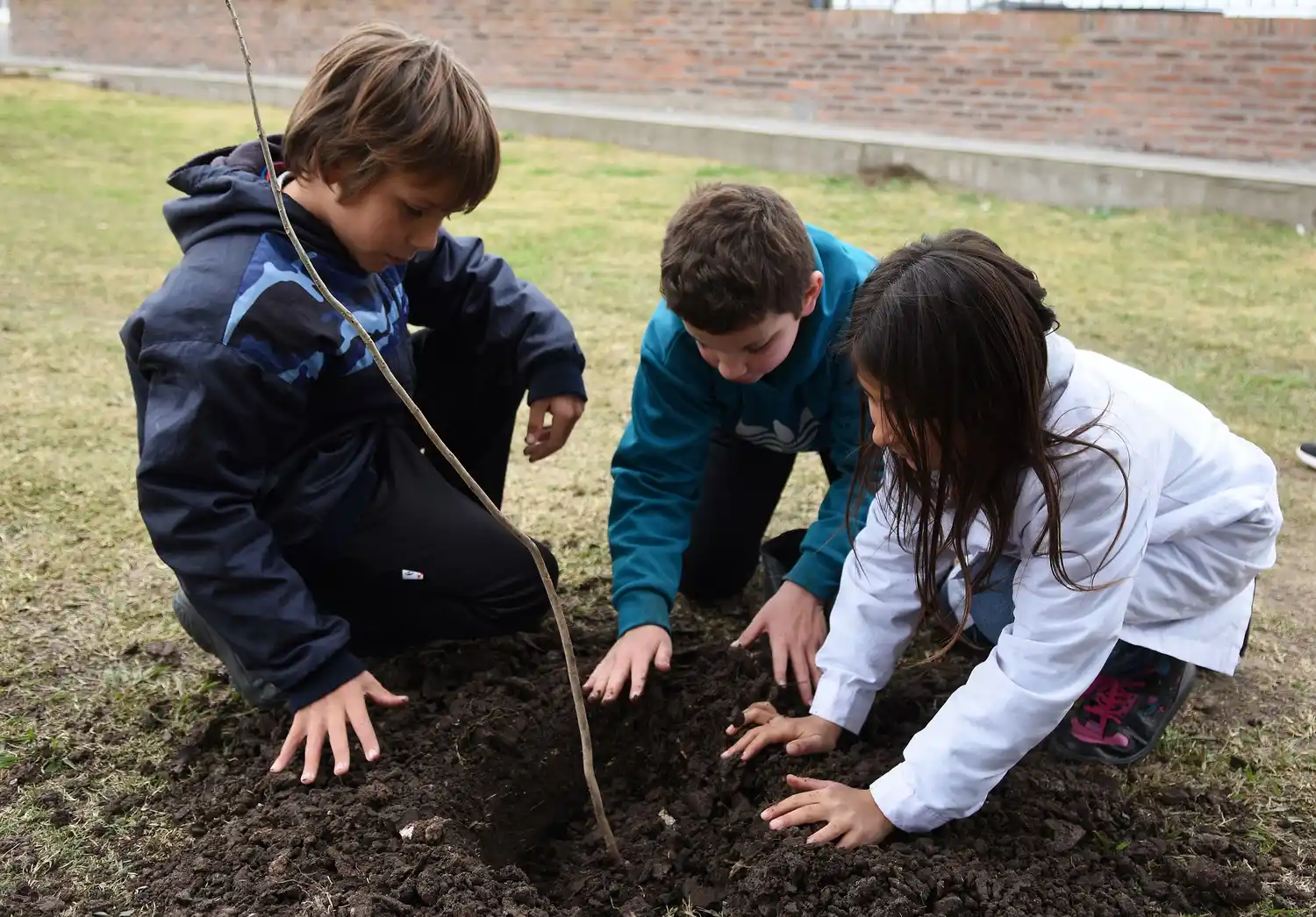 En el marco de los festejos por el Día del Sagrado Corazón lanzarán el proyecto de plantación de árboles