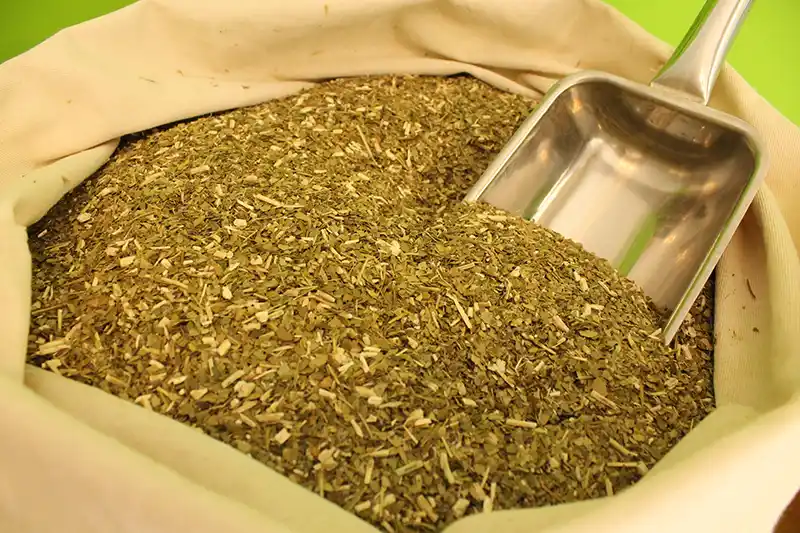 La yerba mate argentina llega a India