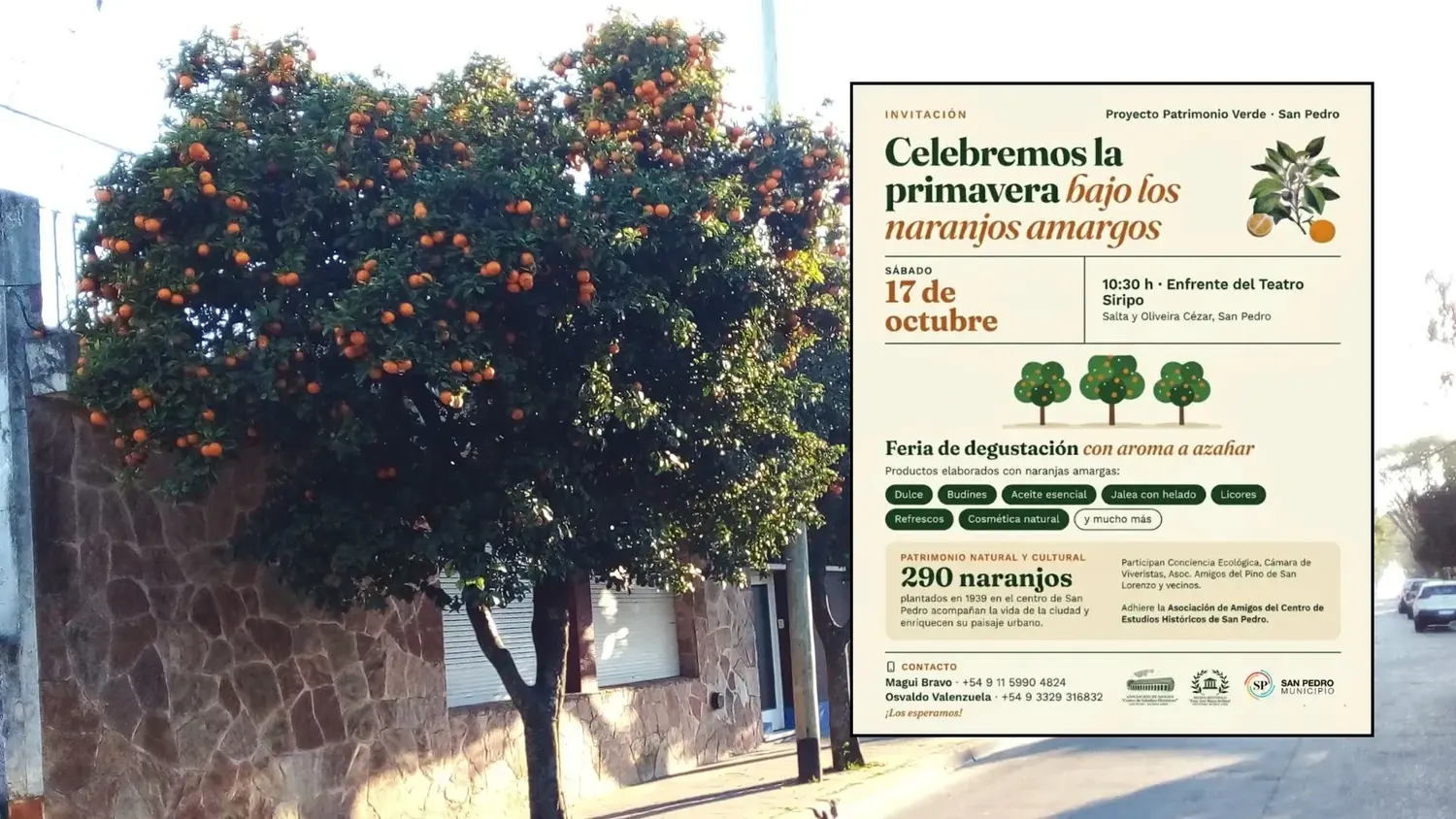 Una feria de sabores y aromas permitirá celebrar la primavera con productos artesanales. Será en Salta y Oliveira Cézar, este sábado 17.