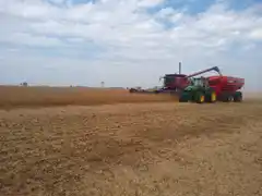 La siembra de soja avanzó con la incorporación de 1,2 millones de hectáreas