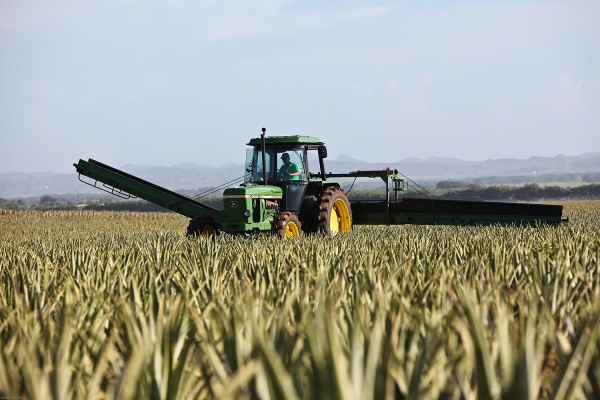 Maquinaria agrícola: cuáles son las funciones de las más utilizadas