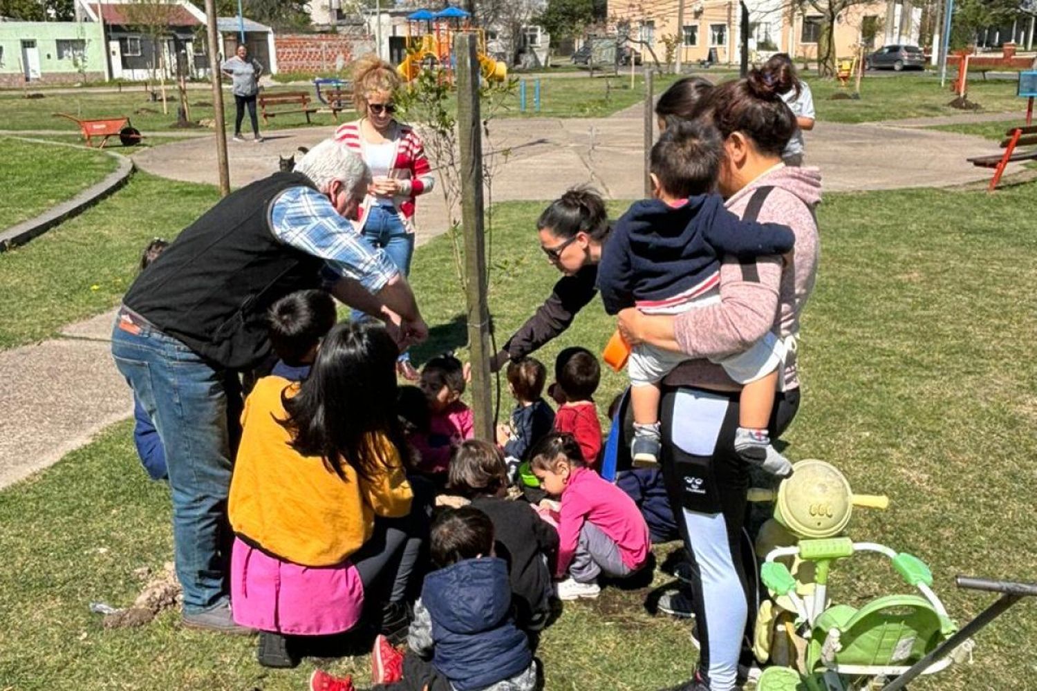 Mes del Árbol: se plantaron 20 ejemplares nativos en la ciudad