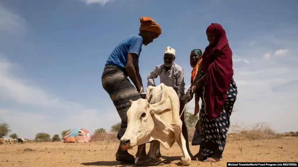 Los científicos coinciden en que seguir forzando al planeta resultará en graves consecuencias