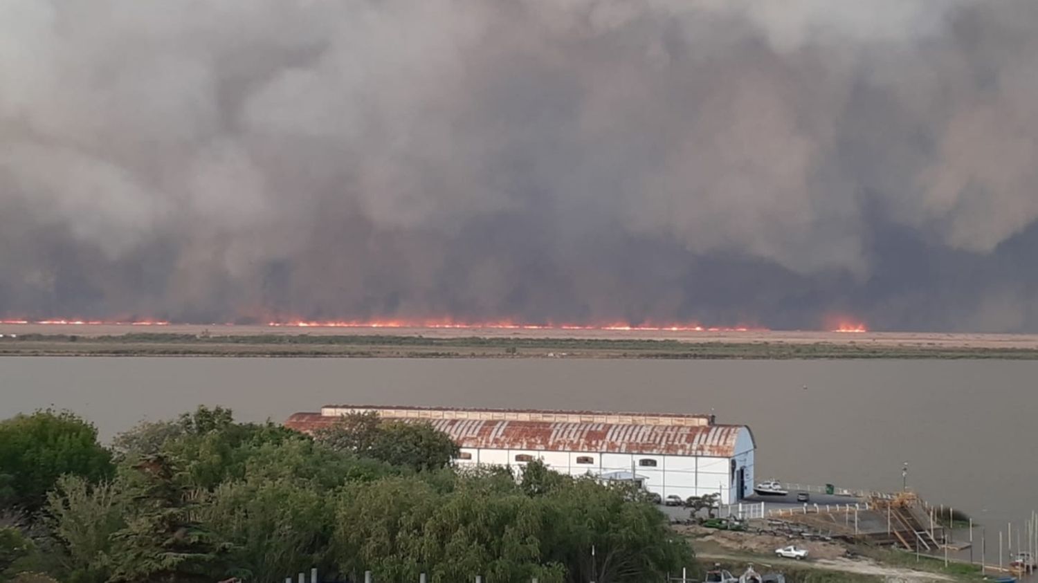 Se reactivaron focos ígneos en las islas del Delta del Paraná: el humo podría llegar a Rosario