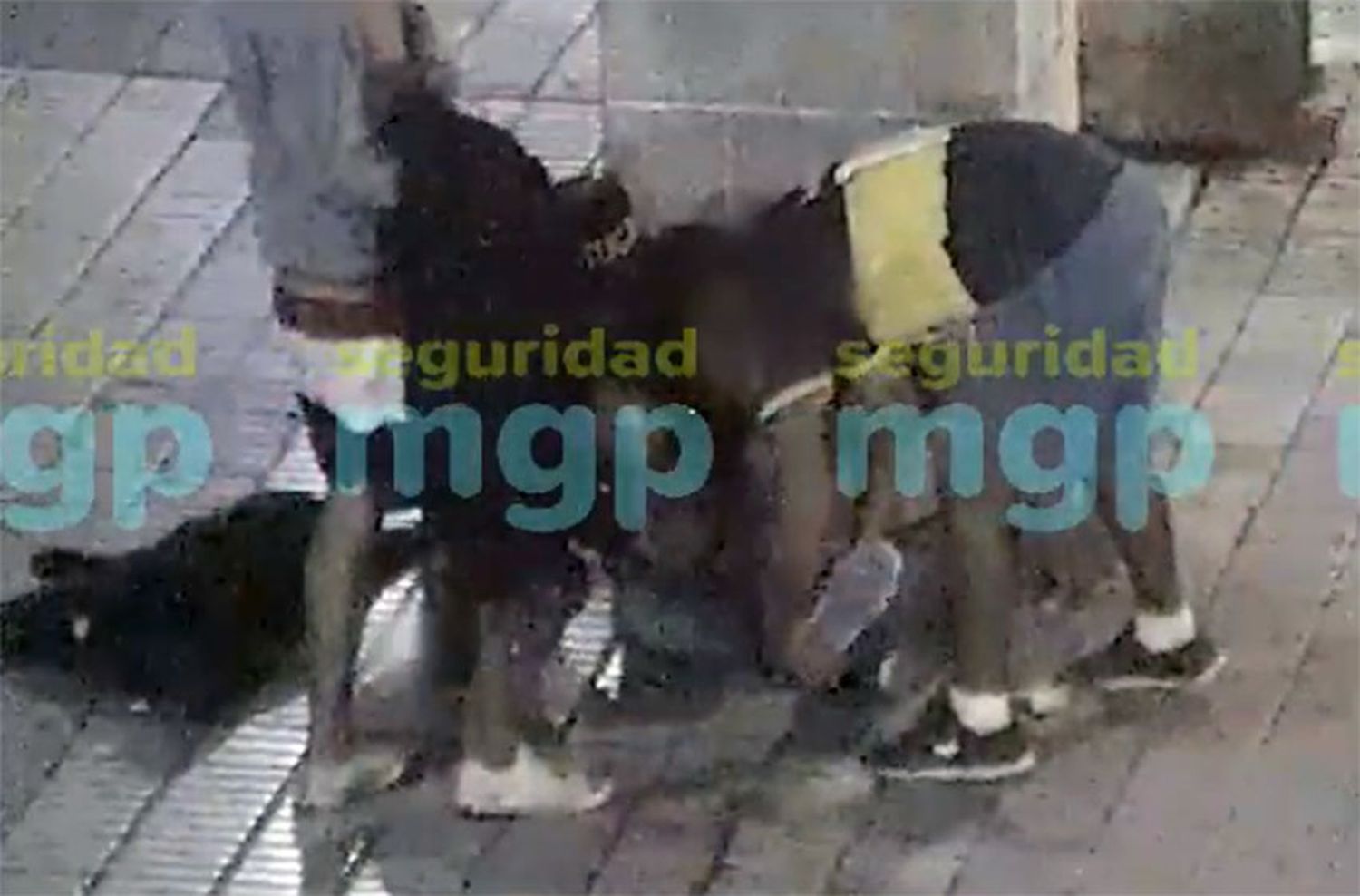 Detienen a tres personas tras un robo en la zona de la Rambla