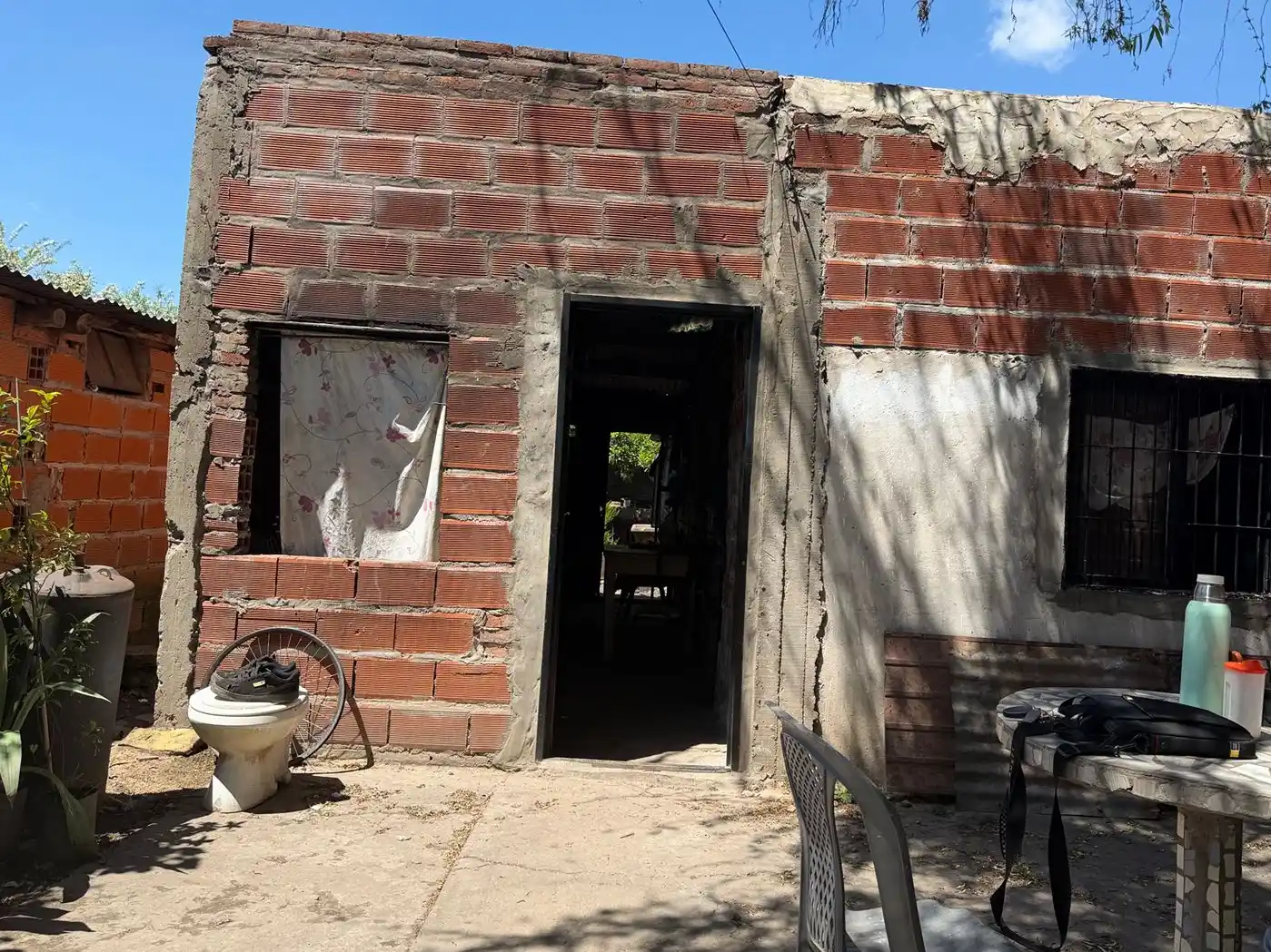 fabiana los amigos de la opinion - 1