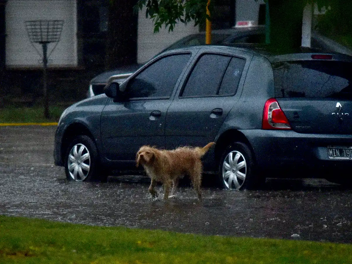 Las tormentas podrían seguir este martes que se prevé húmedo e inestable