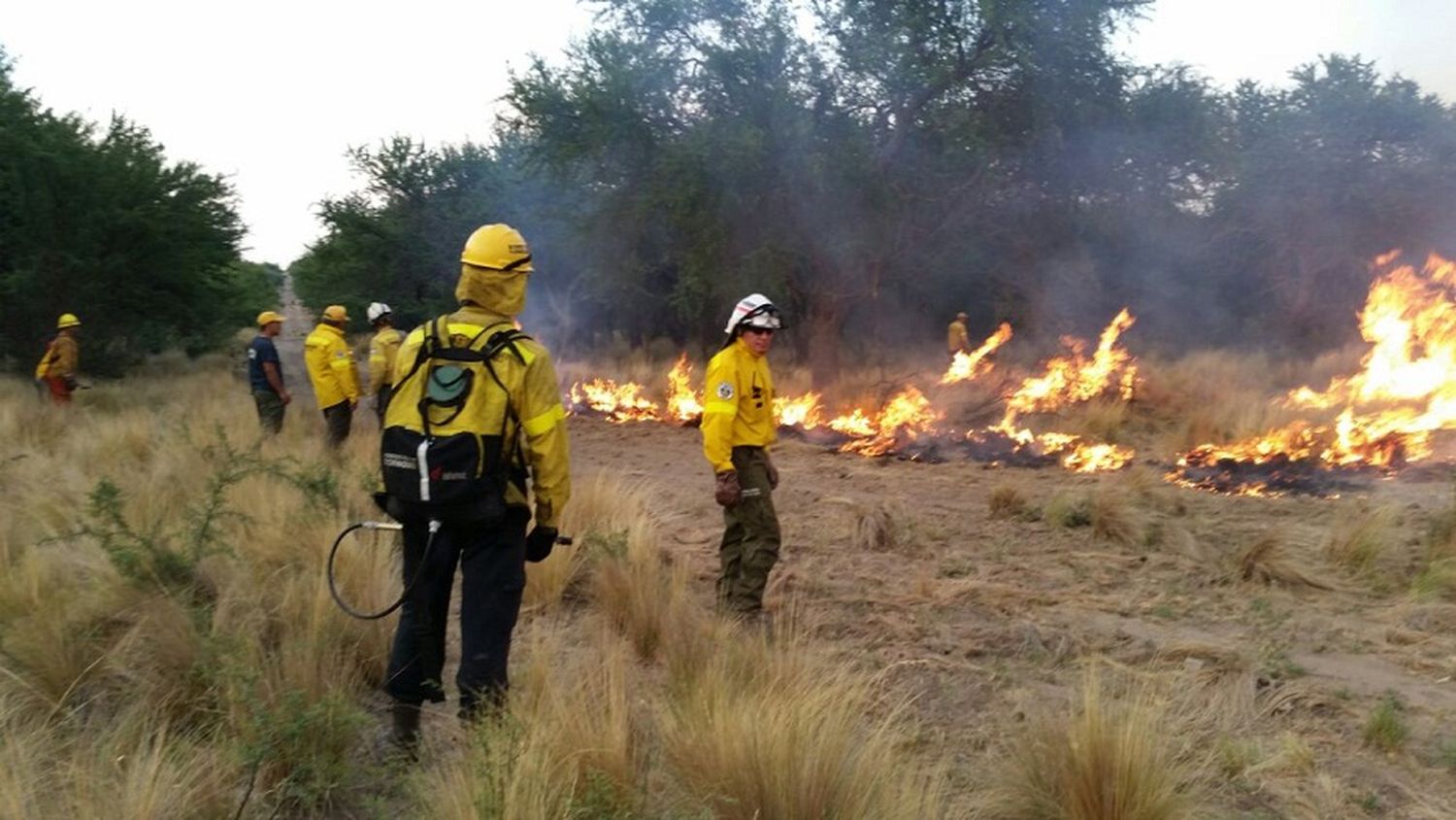 FAA pidió asistencia urgente para los productores afectados por incendios e inundaciones