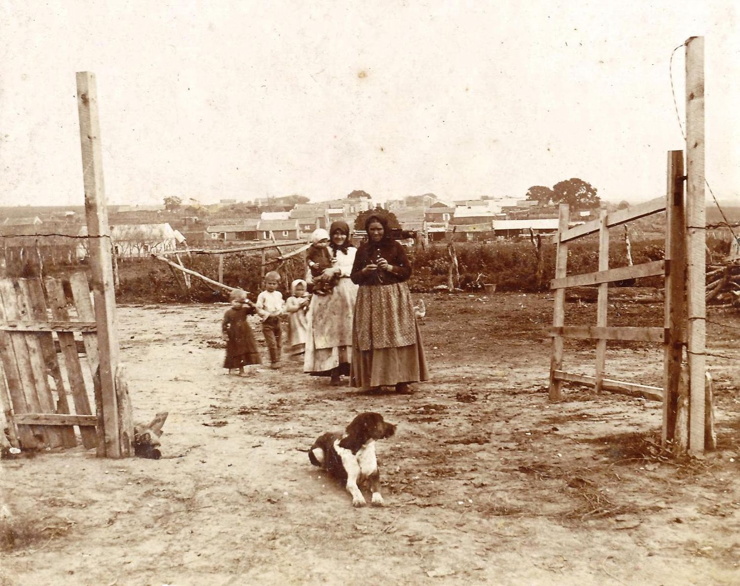 Día del alemán del Volga en la Argentina: Más de 2,5 millones de personas de esta descendencia celebran hoy su día