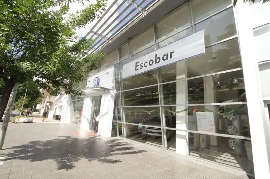 Insólito: pidió una prueba de manejo y se robó el auto