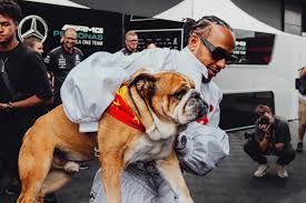 Lewis Hamilton despidió a Roscoe, su bulldog que lo acompañó durante los últimos 12 años.