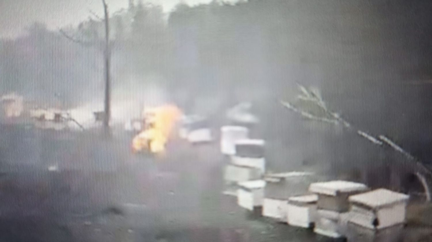Fuego cruel en las colmenas