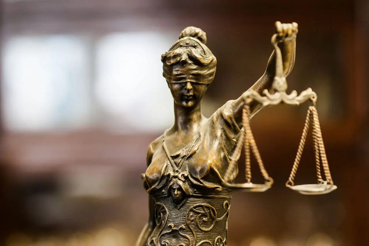 Ingreso a la Justicia