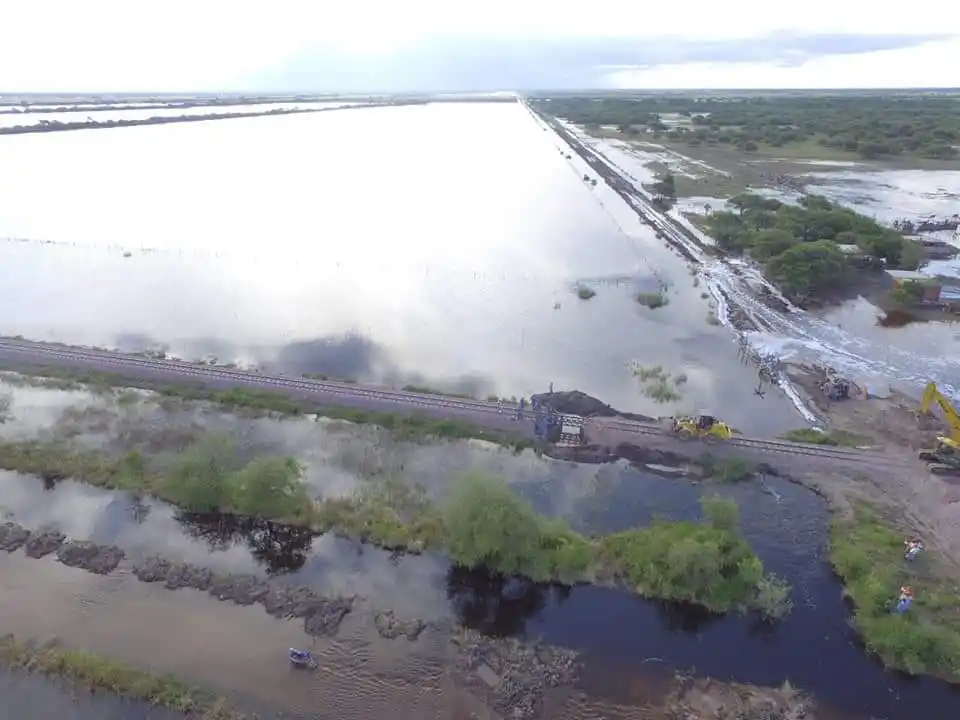 Coninagro alertó sobre las cuantiosas pérdidas económicas que provocarán las constantes lluvias